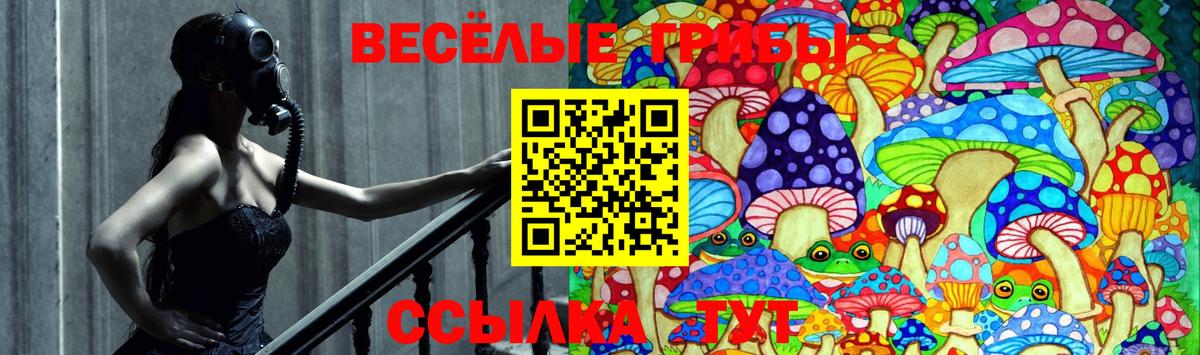 Псилоцибиновые грибы прущие грибы  Вход с VPN  купить   Ростов-на-Дону 
