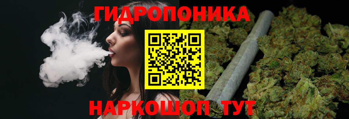 Шишки марихуана планчик Ростов-на-Дону